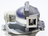 Viewsonic RLC-079 Projector Lamp